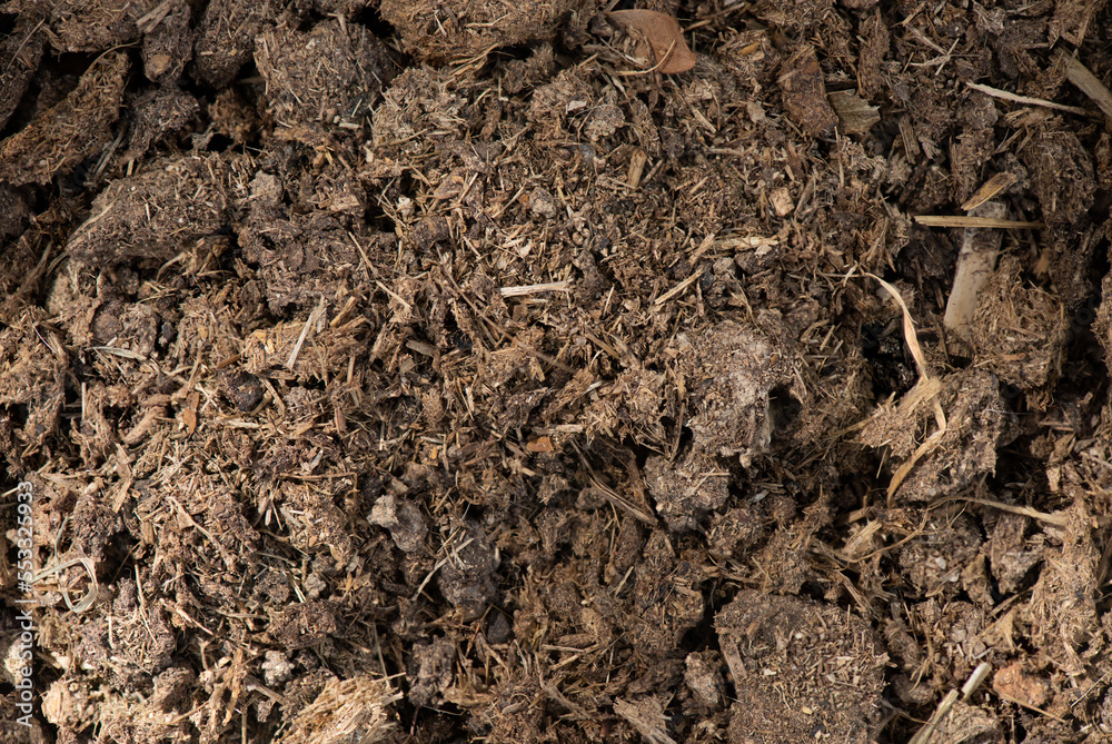 Cow dung mixed soil on nature background. Cow dung mixed soil on nature background.
