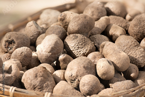  Dioscorea pentaphylla heads on nature background. photo