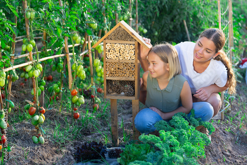 Mother and daughter looking at insect hotel in kitchen garden © JackF
