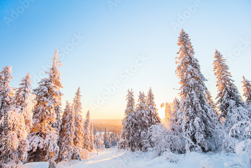 Majestic winter forect in Finland © BlueOrange Studio