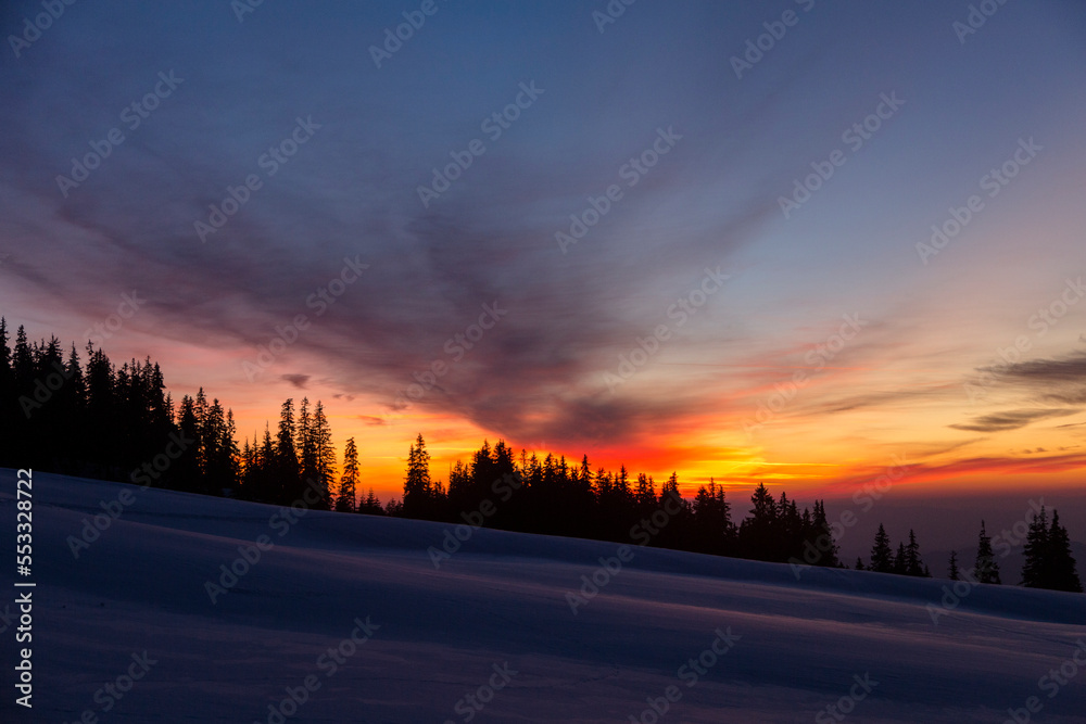 Fantastic color explosion of the sunset in the winter forest