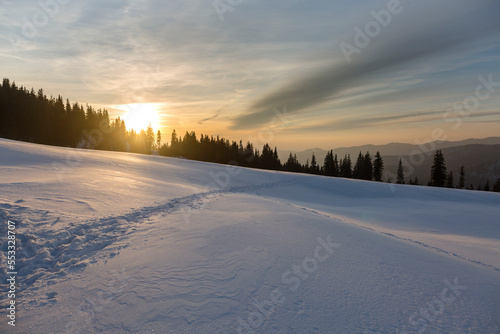 Sunset and footprints on a snow field in a mountain forest