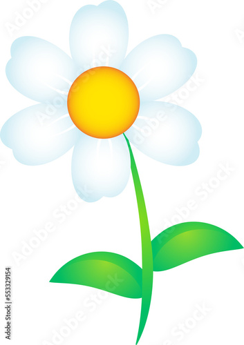 Cute daisy flower isolated on transparent background.