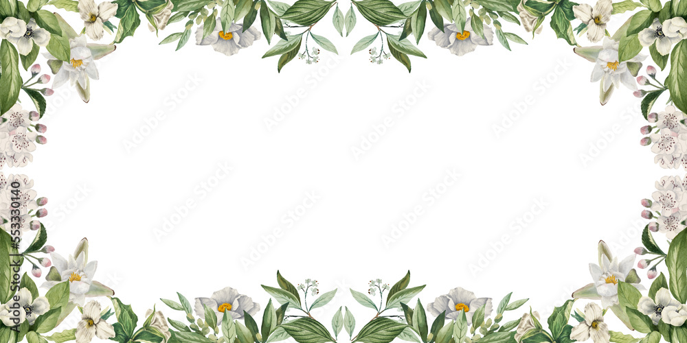 Fototapeta premium Ornamental daisy and Mountain flower floral border, decorative frame and plants on isolated empty background