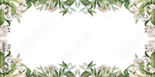 Ornamental daisy and Mountain flower floral border, decorative frame and plants on isolated empty background