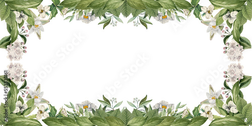 Ornamental daisy and wildflowers floral border, decorative frame and plants on isolated empty background