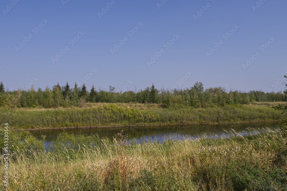 Pylypow Wetlands on a Clear Summer Day