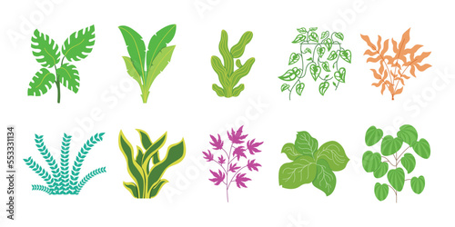 10 set plants © Oyt