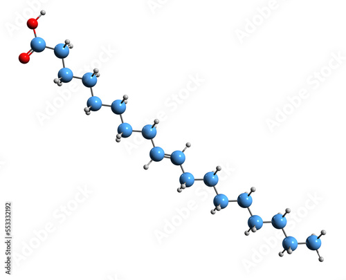 3D image of Elaidic acid skeletal formula - molecular chemical structure of omega 9 fatty acid isolated on white background photo