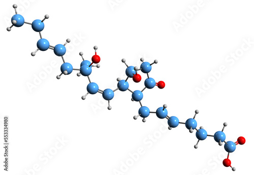  3D image of Prostaglandin E3 skeletal formula - molecular chemical structure of  eicosanoid isolated on white background
 photo