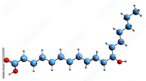  3D image of Ricinoleic acid skeletal formula - molecular chemical structure of  unsaturated omega-9 fatty acid isolated on white background