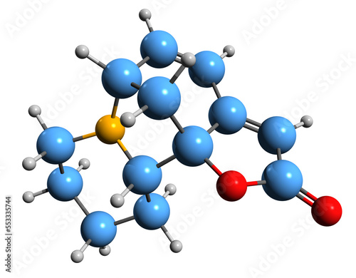  3D image of Securinine skeletal formula - molecular chemical structure of alkaloid isolated on white background
