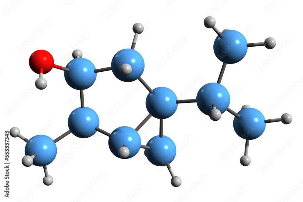 Obraz premium 3D image of Thujyl alcohol skeletal formula - molecular chemical structure of phytochemical isolated on white background 