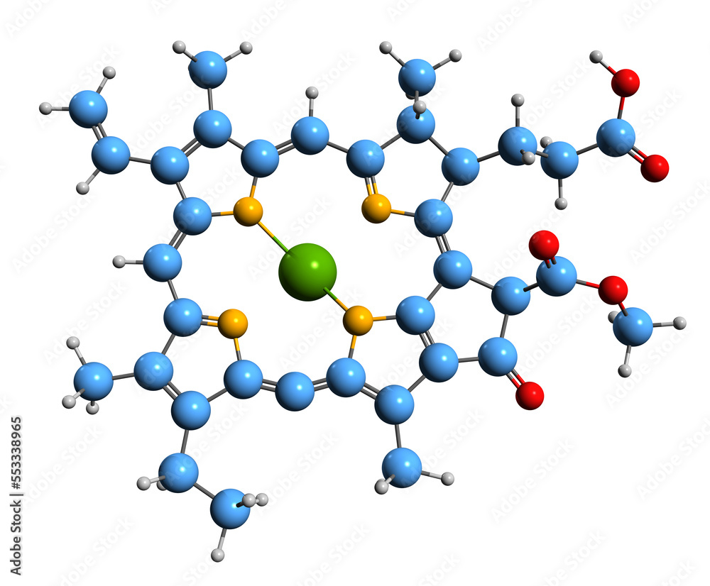 3D image of Chlorophyllide a skeletal formula molecular chemical