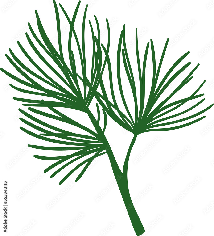 Christmas pine leaf branch Christmas pine leaf branch