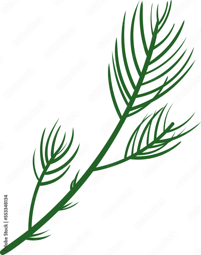 Fototapeta premium Christmas pine leaf branch 