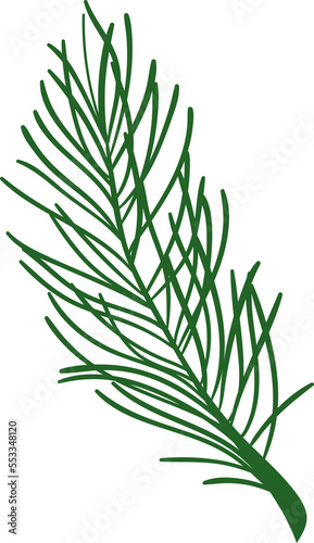 Fototapeta Naklejka Na Ścianę i Meble -  Christmas pine leaf branch 