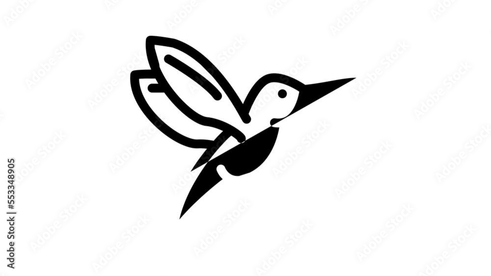 colibri little bird line icon animation colibri little bird line icon animation