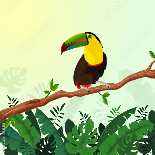 Ilustración de tucán sobre una rama