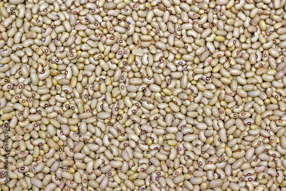 close up of a lot of grain close up of a lot of grain