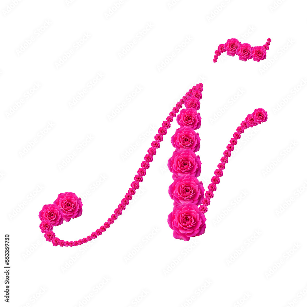 Obraz premium Letra Ñ hecha con foto de rosa baby color fuccia