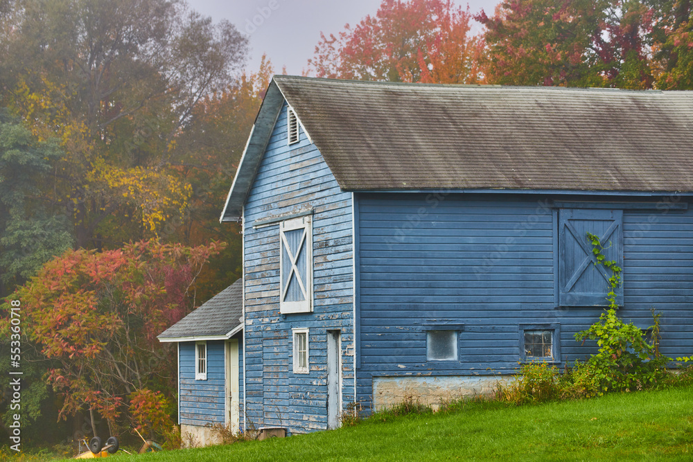 Beautiful aging blue barn shed with vines tucked against fall forest edge Beautiful aging blue barn shed with vines tucked against fall forest edge