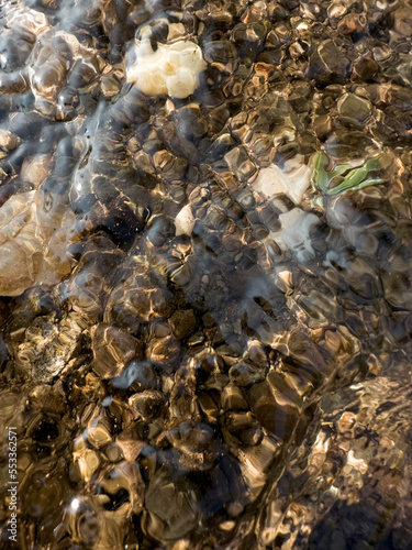 close up of clear smooth freshwater flowing rippling over brown rocks  fresh new clear beautiful nature closeup of river peace calm fresh new life pure cleansing refreshing clarity