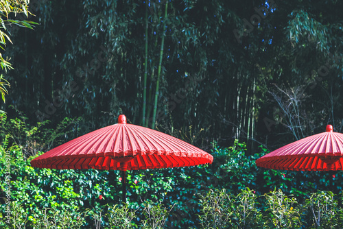 a red umbrellas at the Ginkaku ji photo