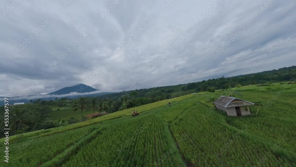 Couple riding motorbike tropical rainforest mountain fog dramatic sky scenery aerial view. FPV sports drone shot agriculture farmland exotic village rice field cultivation picturesque rural landscape