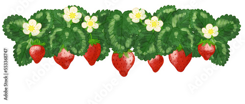 フレッシュなイチゴの水彩イラスト © kuromily
