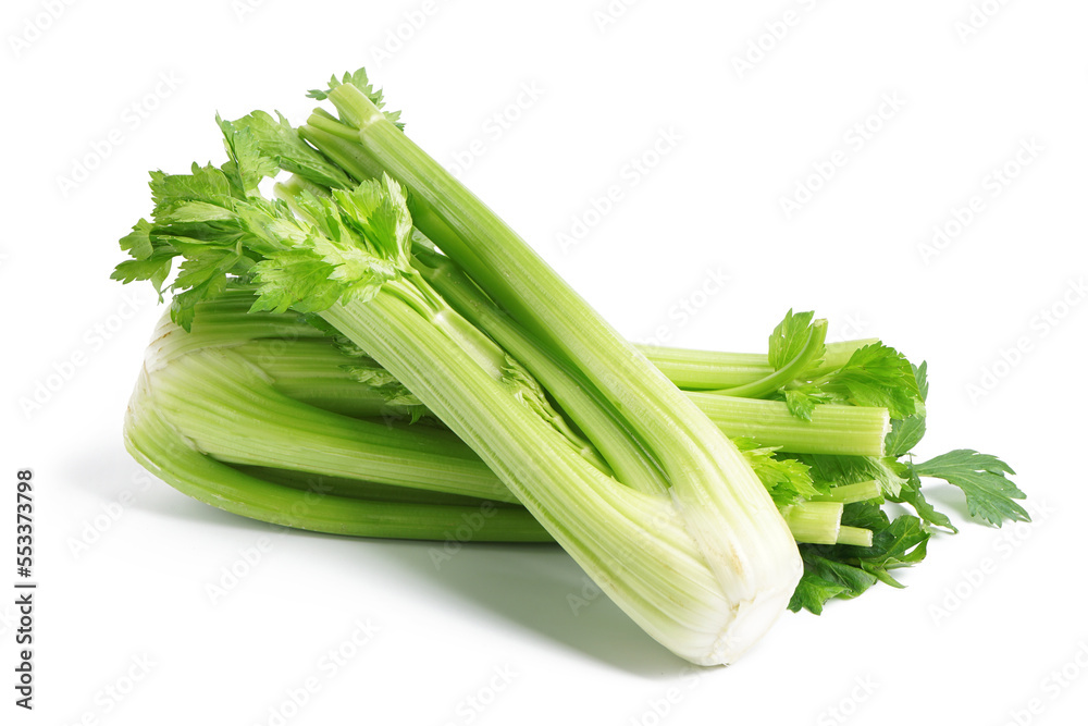 Fresh green celery isolated on white background Fresh green celery isolated on white background