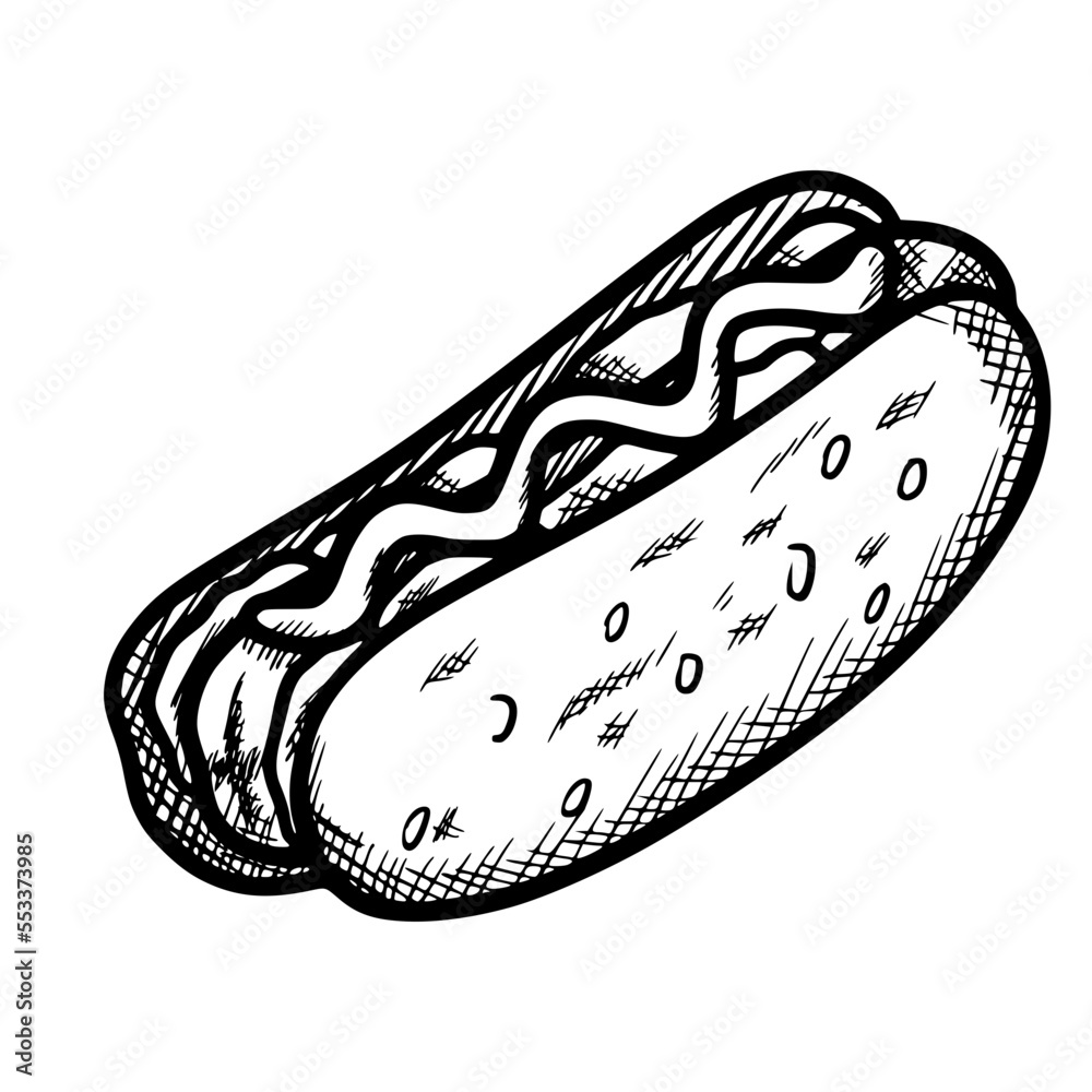 hand drawn illustration of an hotdog hand drawn illustration of an hotdog