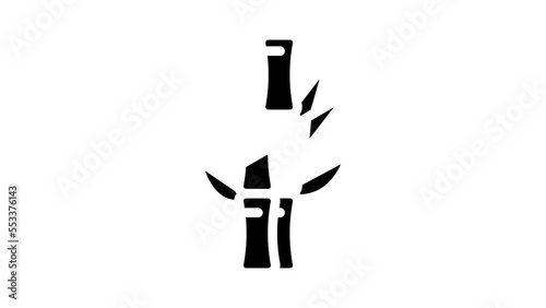 bamboo plant glyph icon animation photo