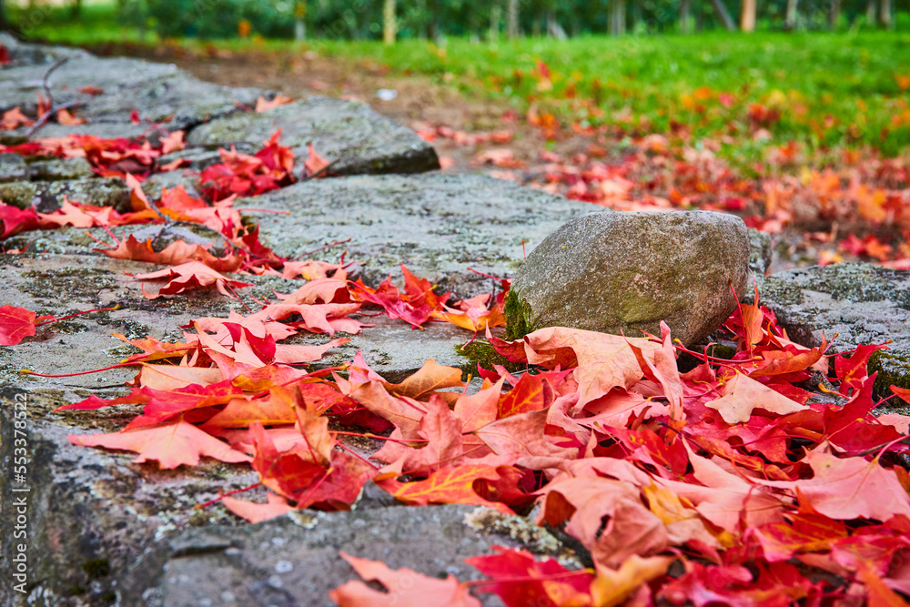 Detail of stone wall with piles of red leaves from peak fall Detail of stone wall with piles of red leaves from peak fall