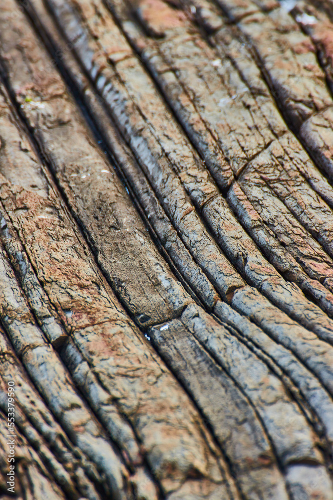 Detail texture of layered rocky coast in Maine like petrified wood Detail texture of layered rocky coast in Maine like petrified wood