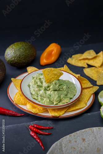 stilll life of guacamole with nachos