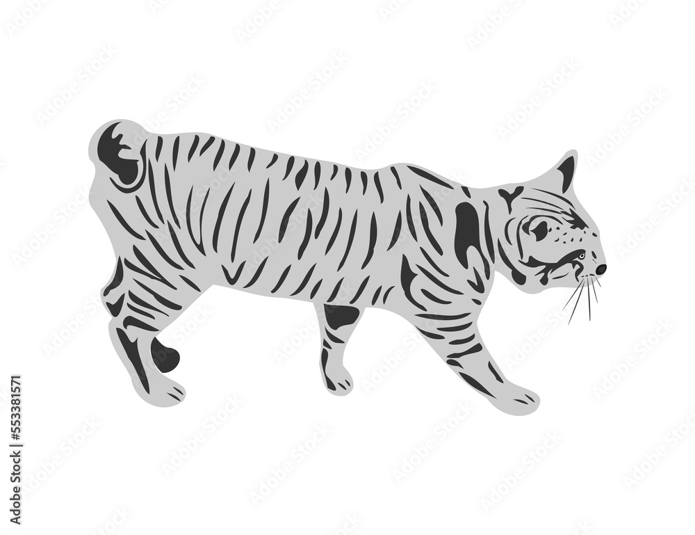 Obraz premium Gray cat with a striped pattern walking