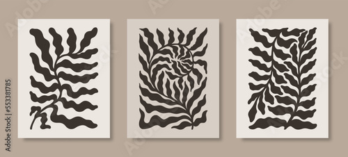 Abstract Matisse Floral Posters Set. Modern Botanical Print in Contemporary Minimal Style. Groovy Vector Illustration