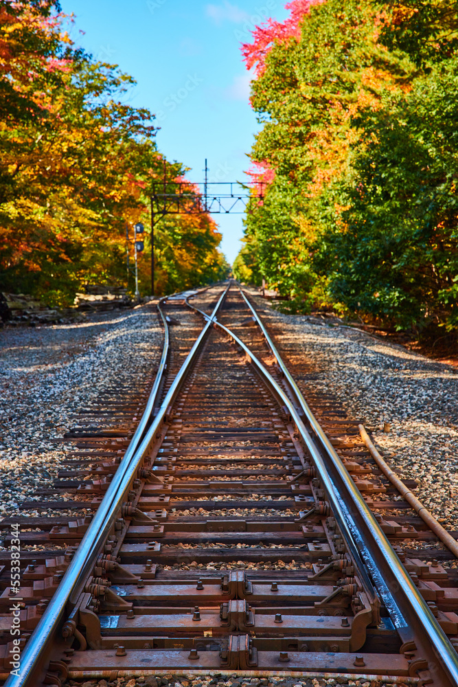 On empty train tracks leading into forest during fall foliage