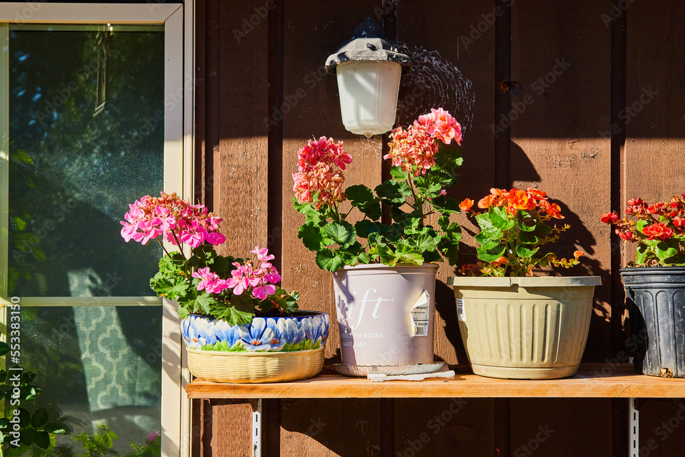 Fototapeta premium Shelf with flowers in pots on outside of home