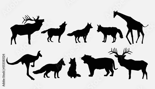 Vector animal shadow  animal logo  vector art  icons