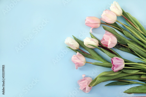 Bouquet of pink tulips on a blue background