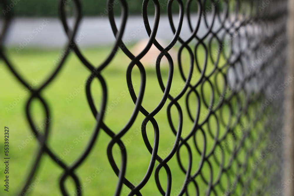 Naklejka premium Link fence