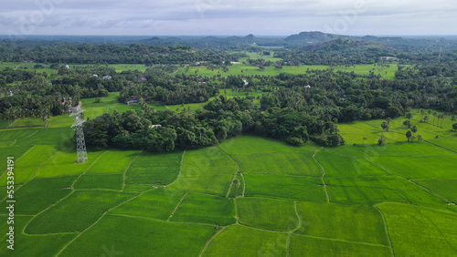 Beautiful Rural Scenery In Palakkad, Kerala