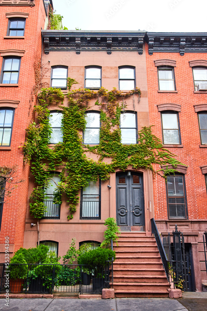 Naklejka premium Ivy covers brick walls of stunning apartment building in Greenwich Village New York City
