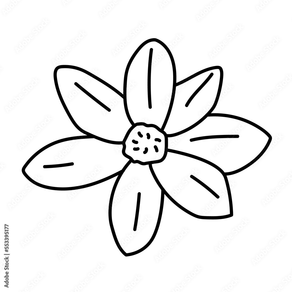 black and white flower isolated on white