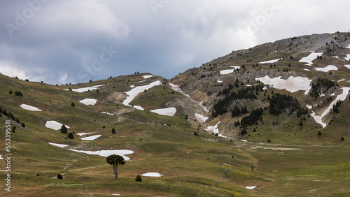 Mountain landscape, plain of Queyrie, the carved tree, Vercors, France