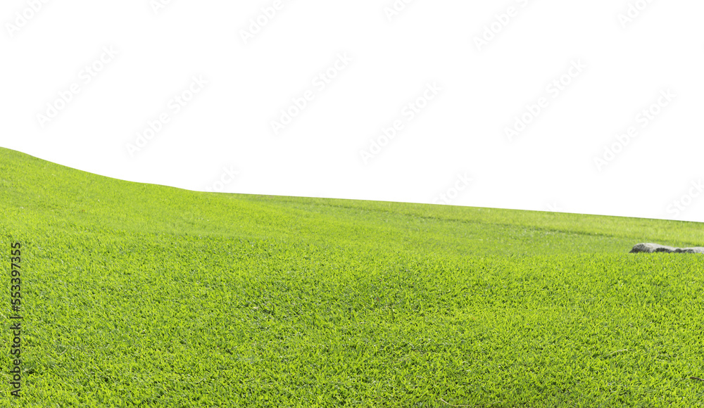 Fototapeta premium lawn, green grass transparent