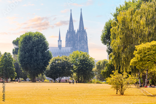 Scenic autumn view of majestic Cologne Cathedral from the Rheinpark. Colorful sunset sky and yellow trees in park. Travel sights of Germany photo