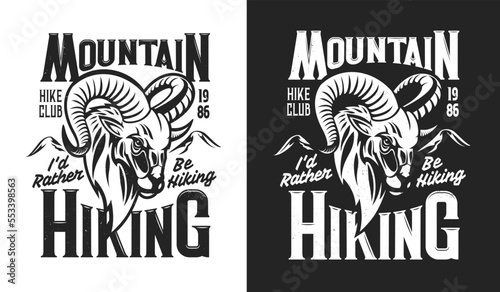 Hiking club t-shirt print with mountain goat mascot, camping adventure vector emblem. Mountaineering sport and hiking travel or scout camping club badge with wild angry mountain goat animal